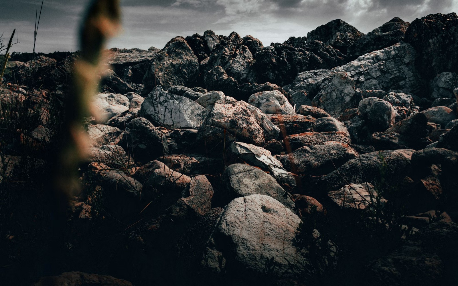Surface vs. Mineral Estate