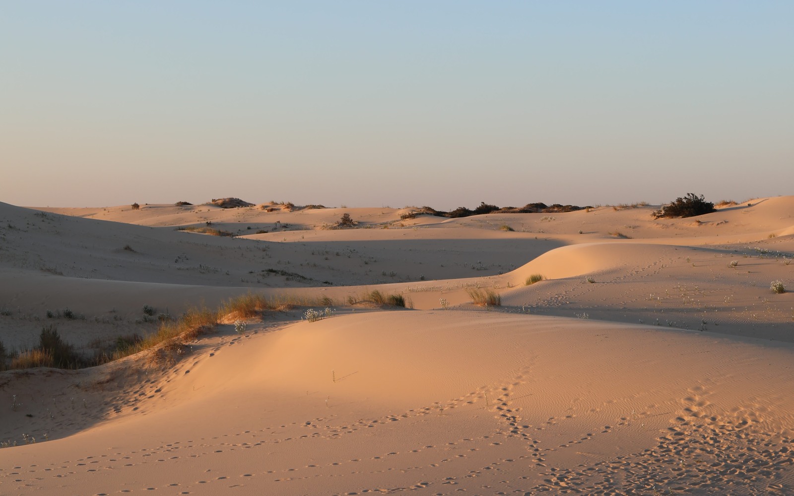 Sell Mineral Rights in Monahans, TX