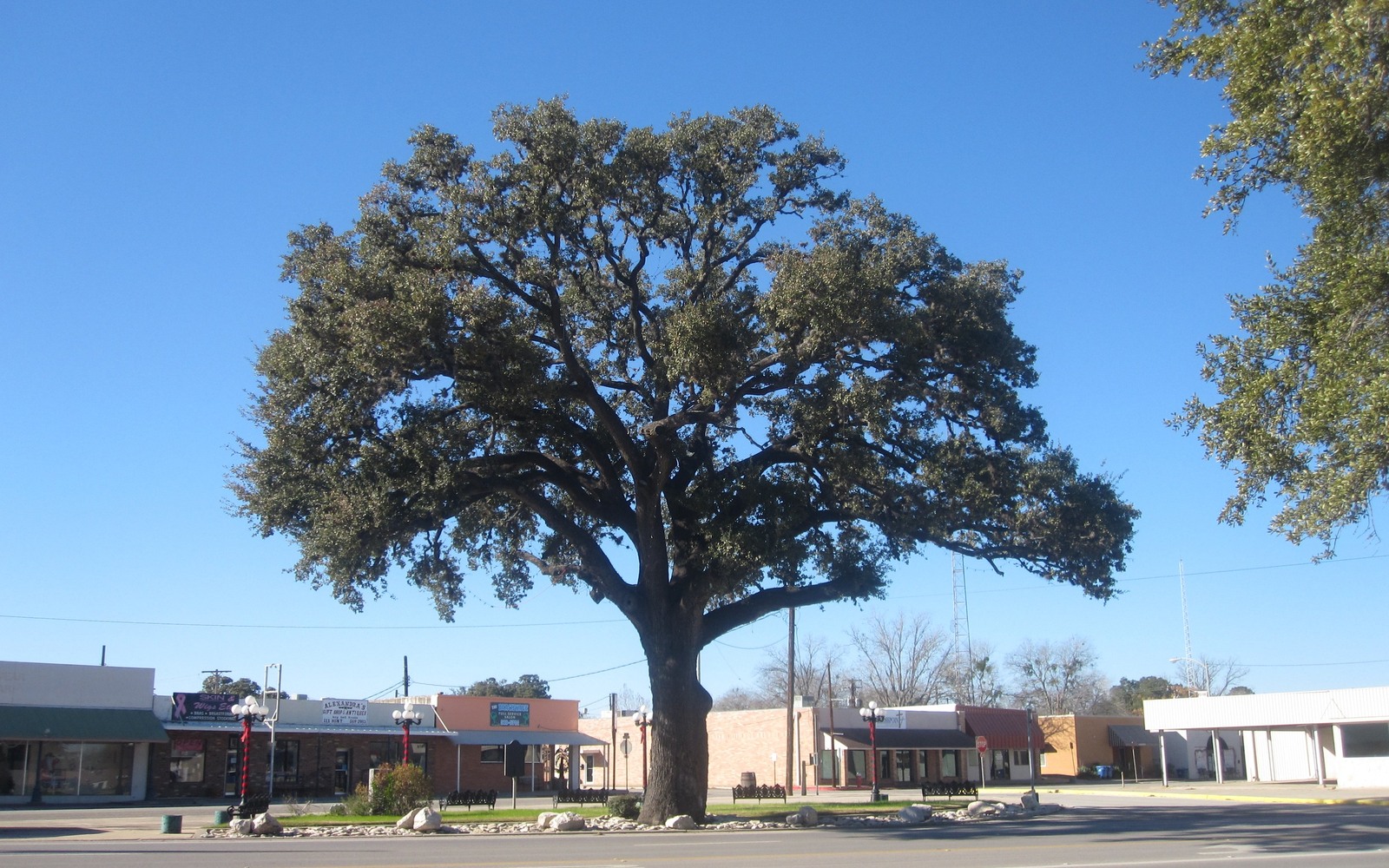 Sell Mineral Rights in Pleasanton, TX