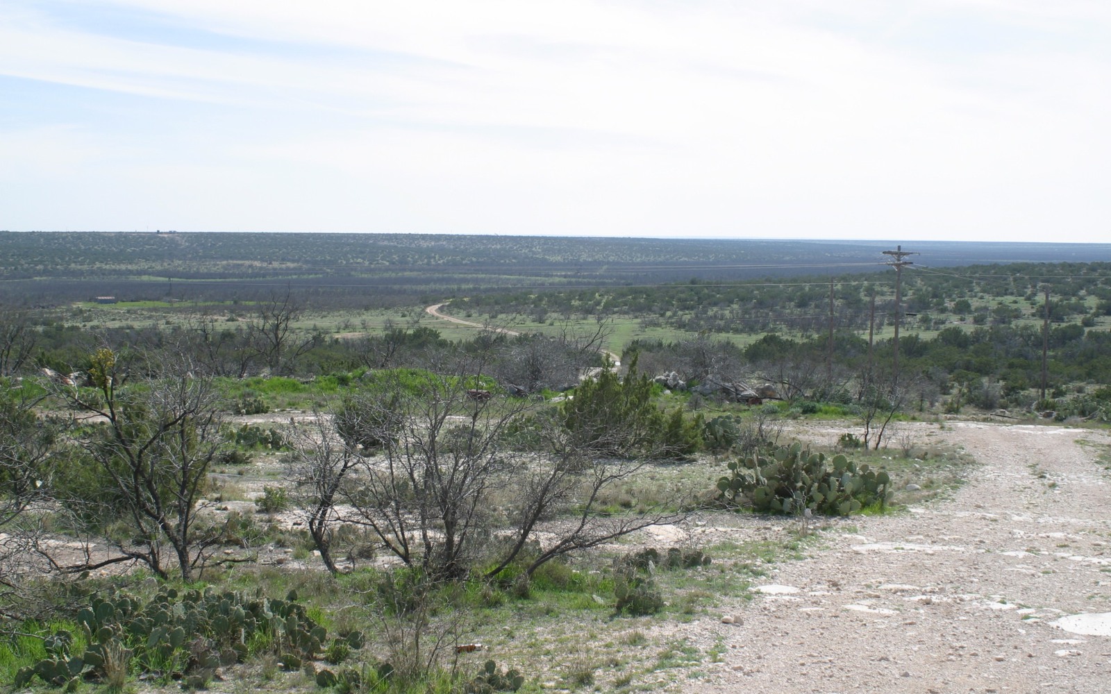 Sell Mineral Rights in Reagan County, TX