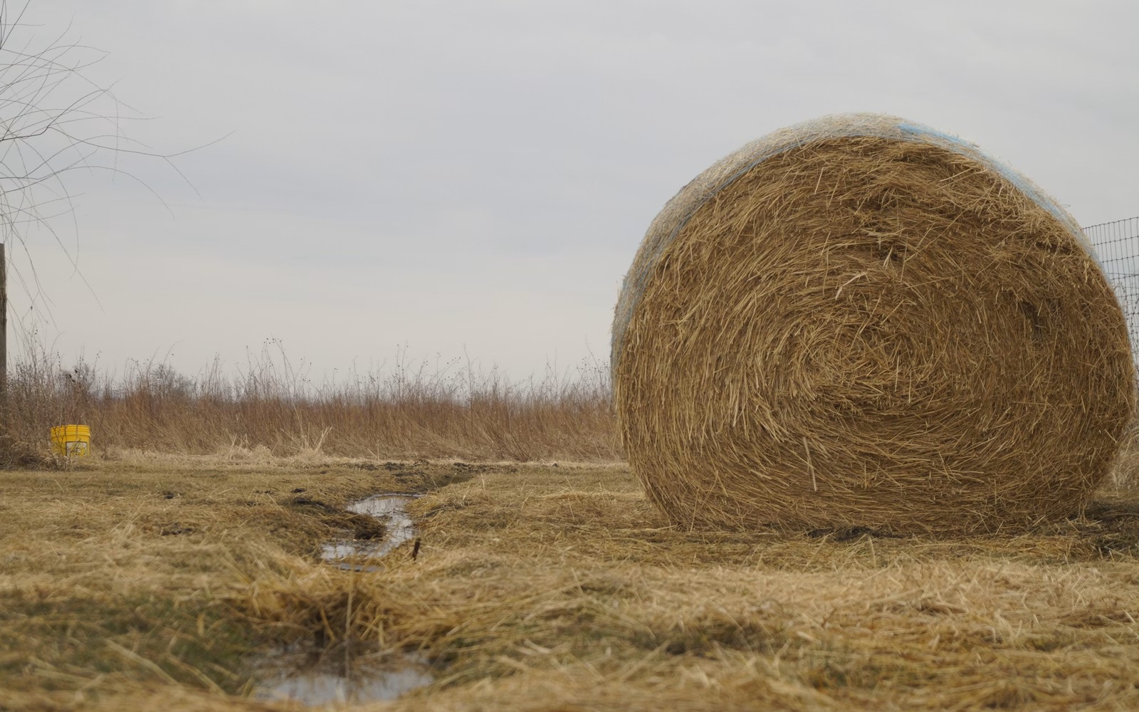 Sell Mineral Rights Texas in Midland